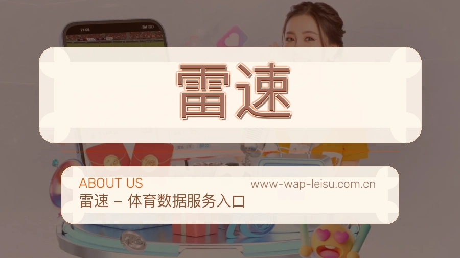 雷速发展说明
